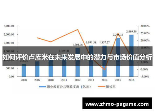 如何评价卢库米在未来发展中的潜力与市场价值分析