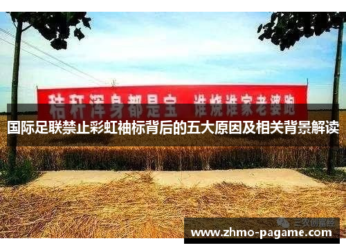 国际足联禁止彩虹袖标背后的五大原因及相关背景解读