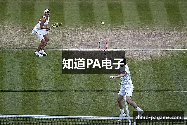 知道PA电子